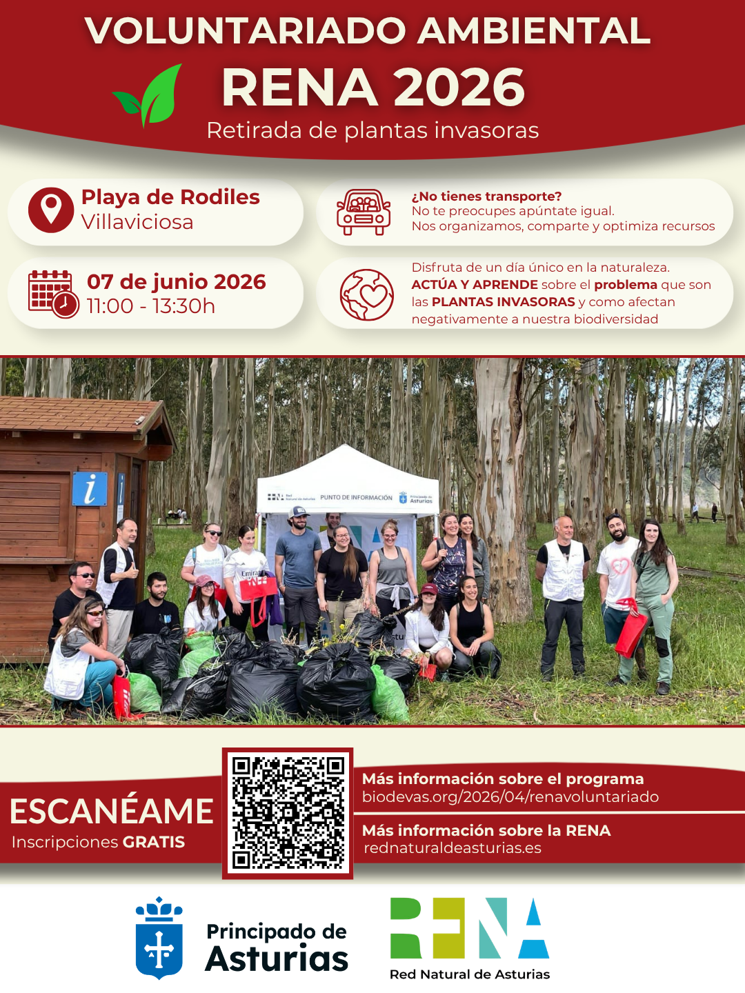 Voluntariado ambiental RENA 2026. Retirada de plantas invasoras en la playa de Rodiles.
