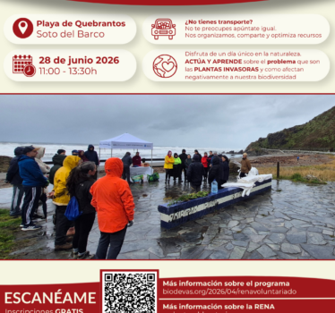 Voluntariado ambiental RENA 2026. Retirada de plantas invasoras en la playa de Quebrantos.