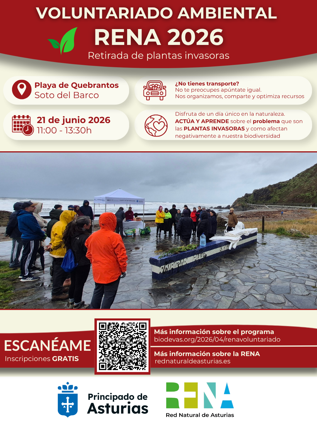 Voluntariado ambiental RENA 2026. Retirada de plantas invasoras en la playa de Quebrantos.