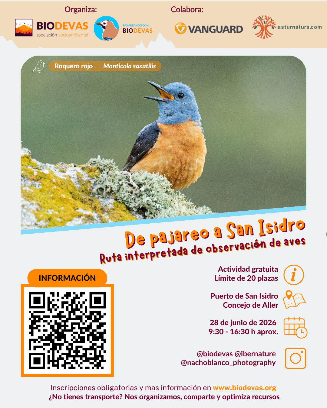 De pajareo a San Isidro