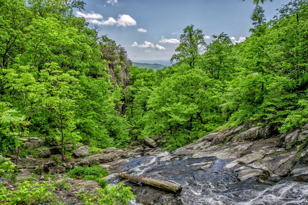 Paisaje natural de Asturias, con bosque y montañas