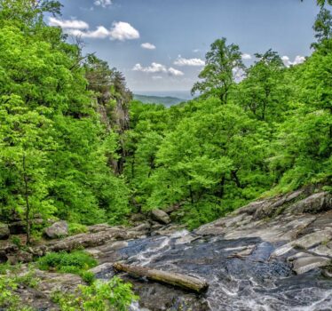 Día Mundial del Medio Ambiente: conocer la naturaleza es el primer paso para conservarla