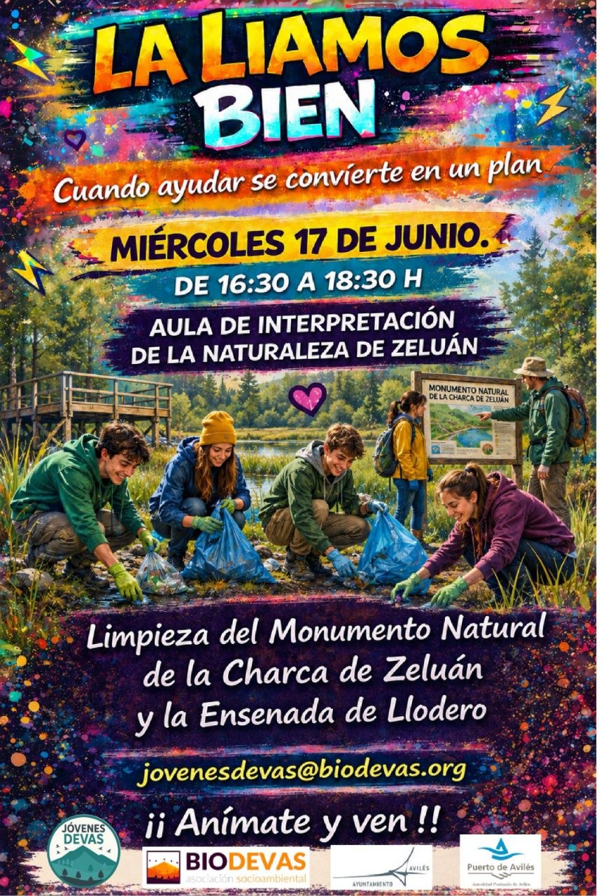 Cartel de La liamos bien: voluntariado juvenil en la Charca de Zeluán
