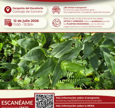 Voluntariado ambiental RENA 2026. Retirada de plantas invasoras en la Garganta del Escañorio.