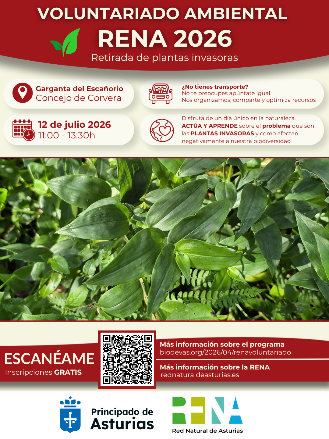 Voluntariado ambiental RENA 2026. Retirada de plantas invasoras en la Garganta del Escañorio.