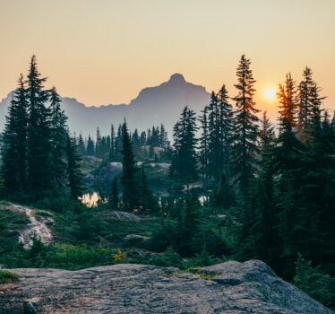 Agosto anticipado: lo que el calor de julio le está haciendo al bosque