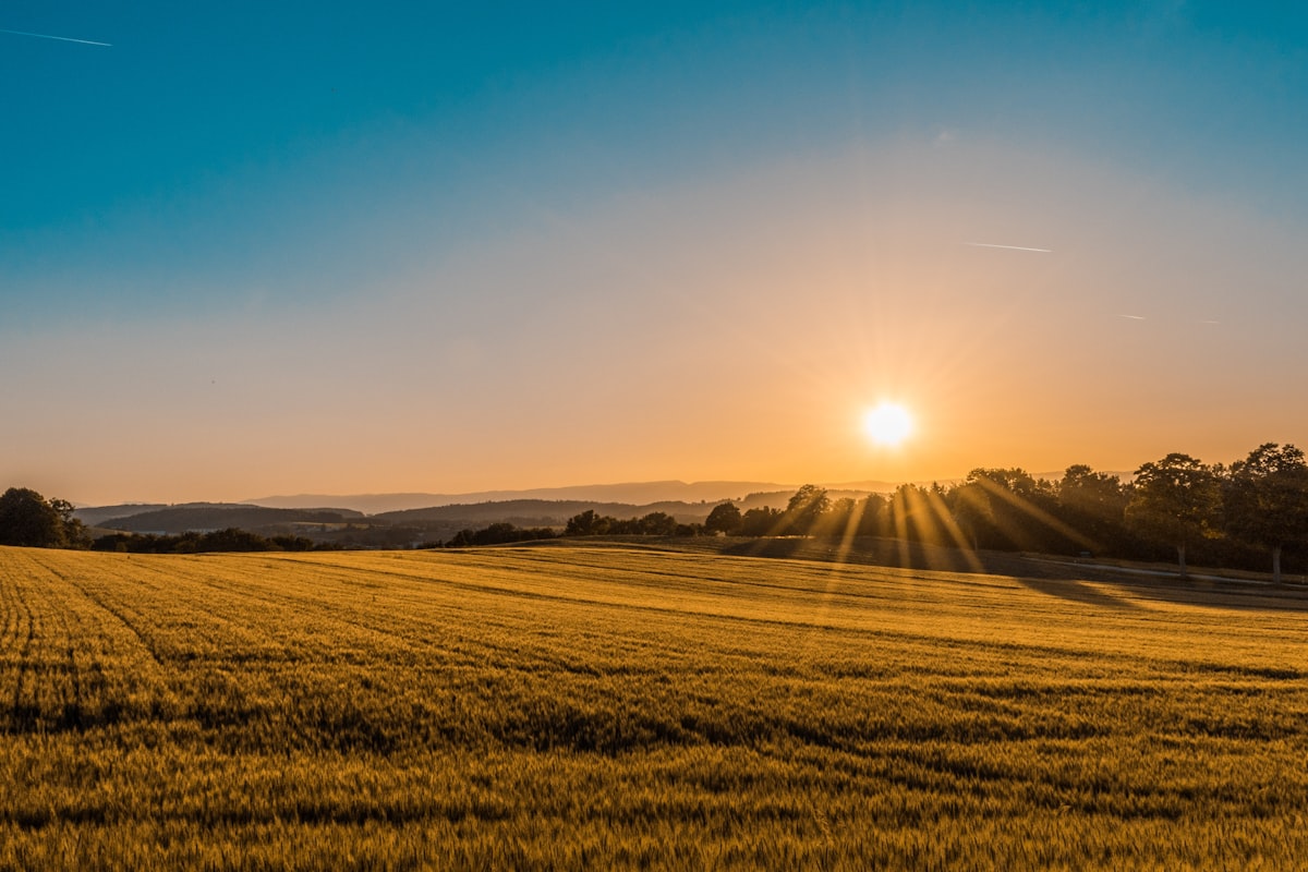 Paisaje de campo y cielo de verano