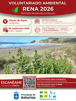 Voluntariado ambiental RENA 2026. Retirada de plantas invasoras en el playón de Bayas.