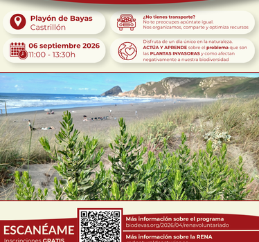 Voluntariado ambiental RENA 2026. Retirada de plantas invasoras en el playón de Bayas.
