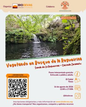 Vegetando por el Bosque de la Regueirina: paseo interpretado hasta la cascada de Zaramatu