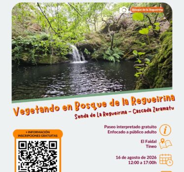 Vegetando por el Bosque de la Regueirina: paseo interpretado hasta la cascada de Zaramatu