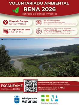 Voluntariado ambiental RENA 2026. Retirada de plantas invasoras en la playa de Barayo.