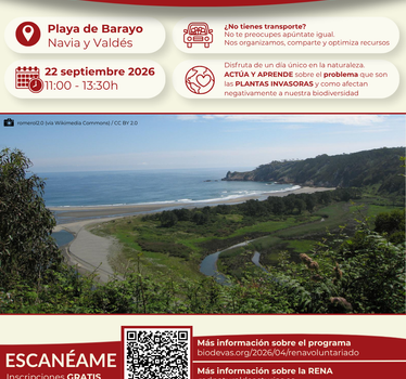 Voluntariado ambiental RENA 2026. Retirada de plantas invasoras en la playa de Barayo.