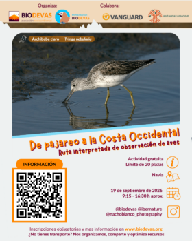 De pajareo a la Costa Occidental