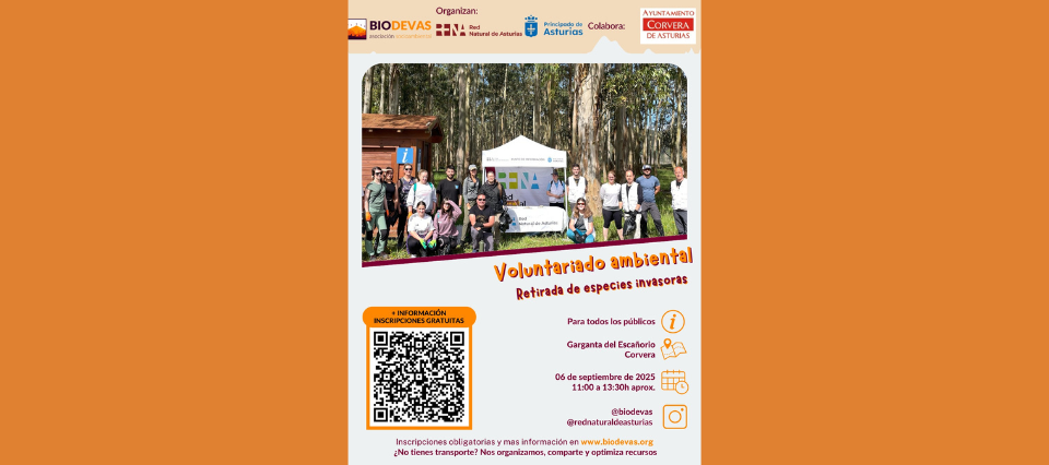 Voluntariado ambiental: retirada de especies invasoras