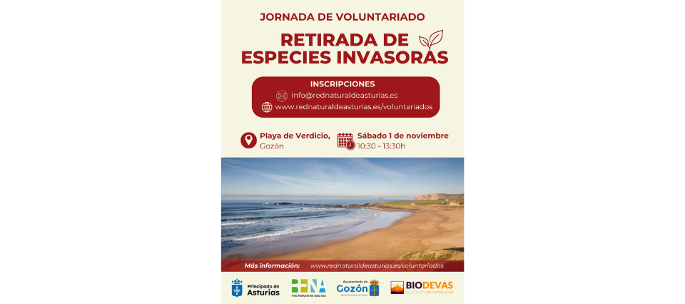 Voluntariado ambiental para cuidar la costa asturiana