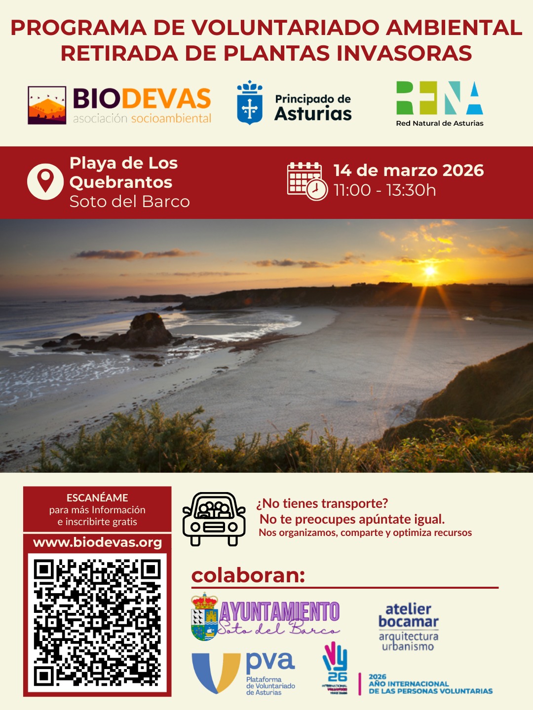 Voluntariado ambiental en Los Quebrantos: retirada de plantas invasoras