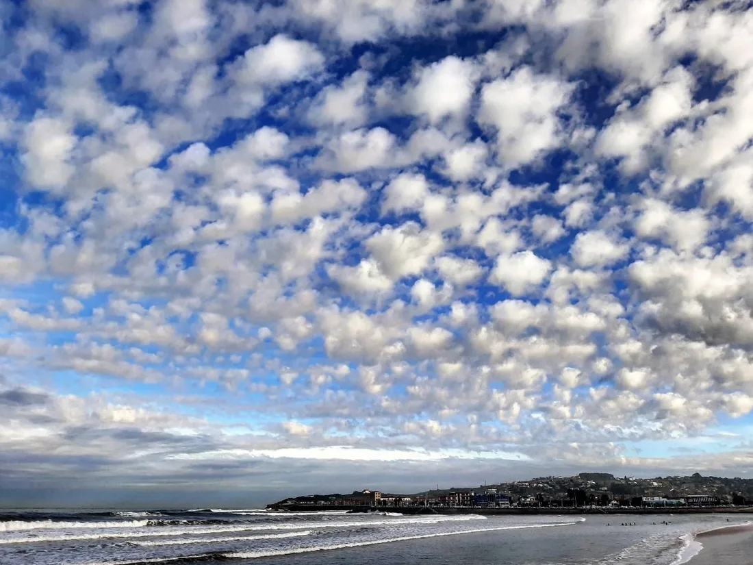 Cielo empedrado o aborregado formado por altocumulus