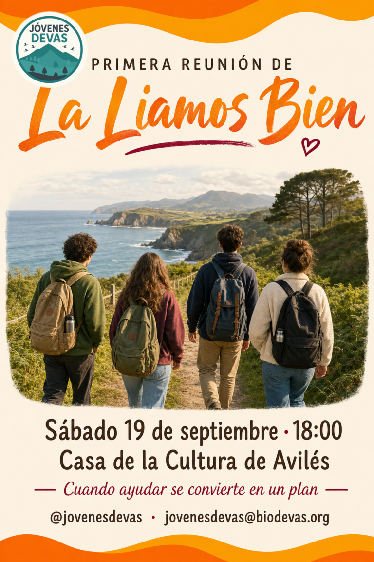 Cartel de la primera reunion de La Liamos Bien, el 19 de septiembre en Aviles
