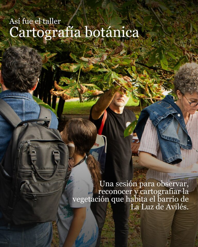 Participantes del taller de cartografía botánica observando las hojas de un árbol en los jardines de la Biblioteca de La Luz, en Avilés