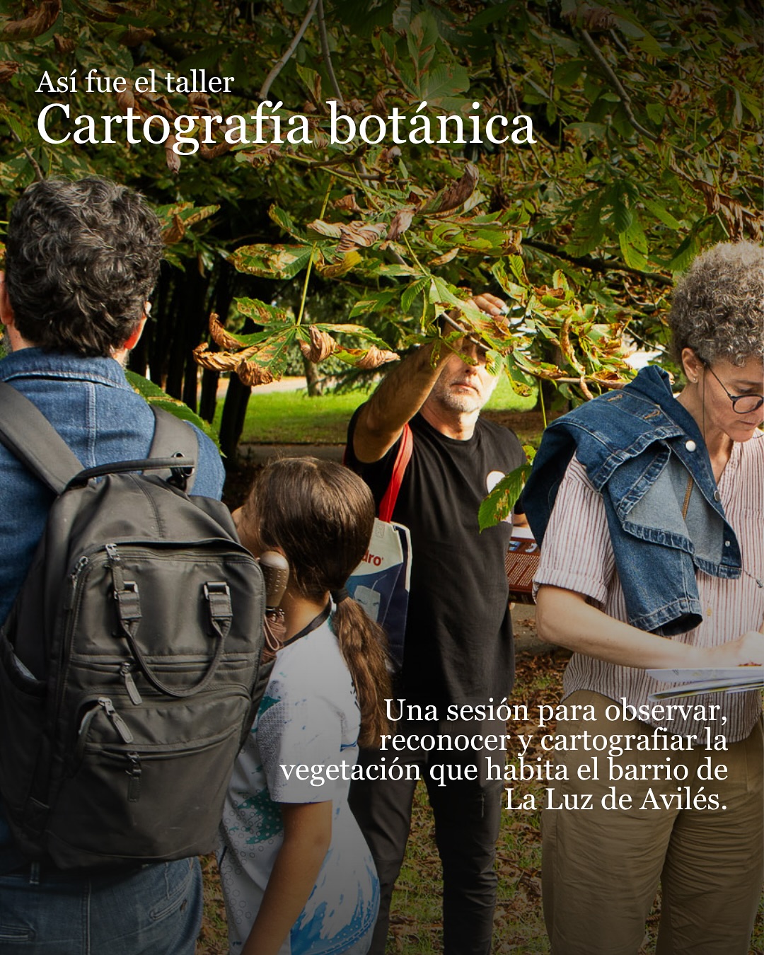 Así fue el taller de cartografía botánica del barrio de La Luz, en Avilés