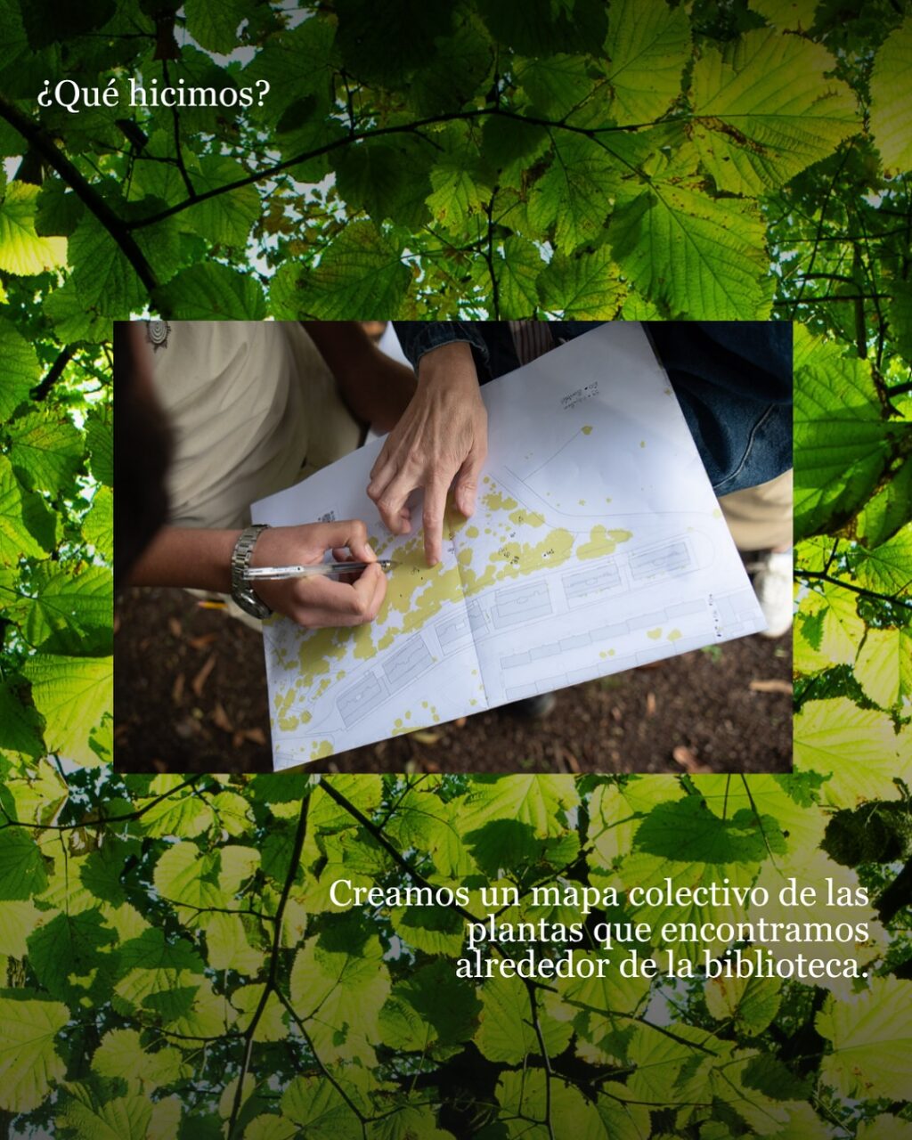 Manos dibujando sobre el plano de la Biblioteca de La Luz durante la elaboración del mapa colectivo de plantas del barrio