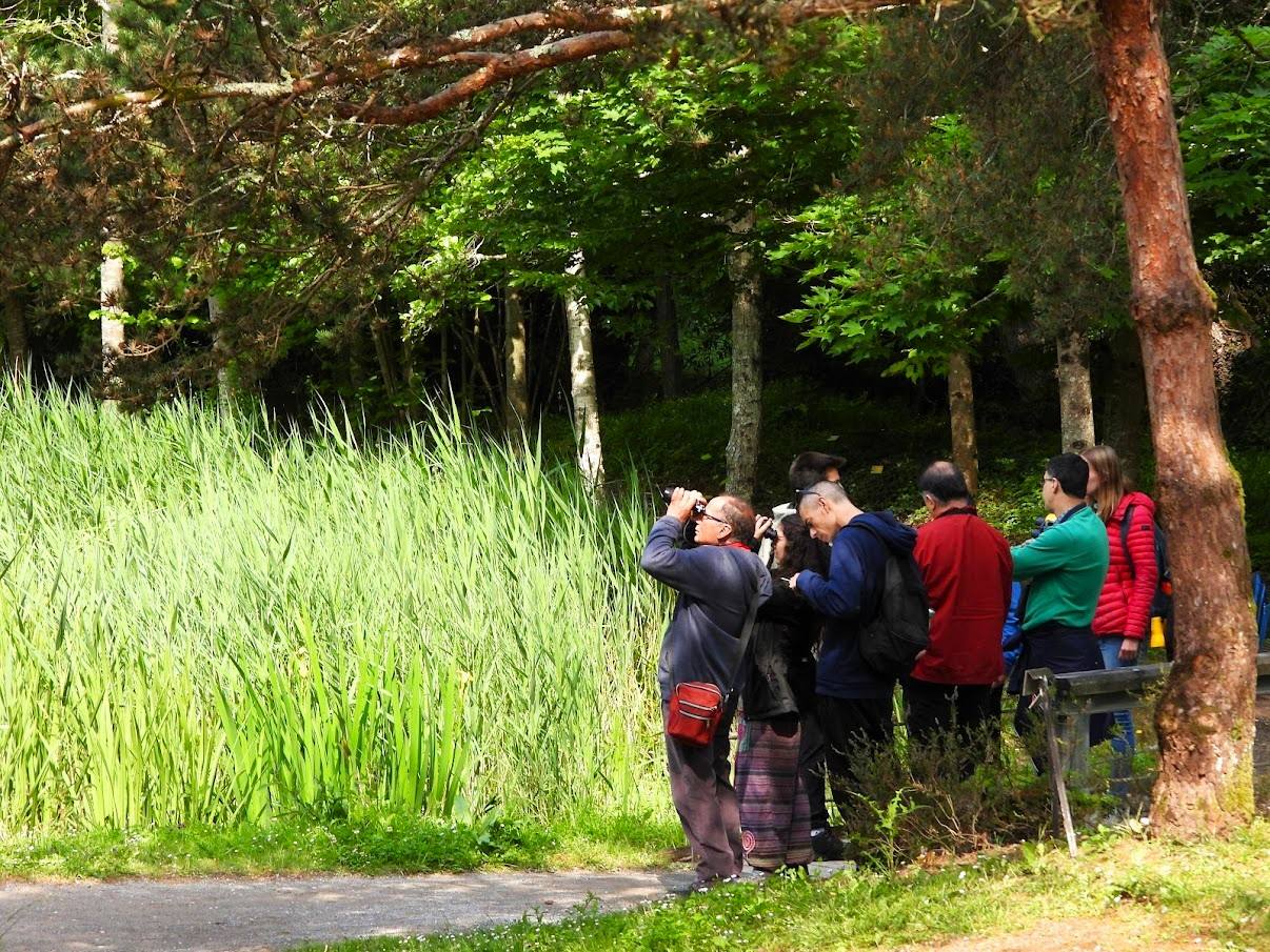 Más de ochenta actividades gratuitas en la naturaleza para todos los públicos
