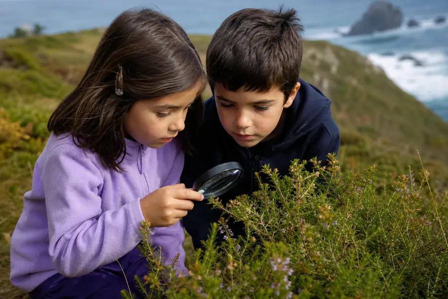 Dos niños examinando una planta con una lupa al aire libre
