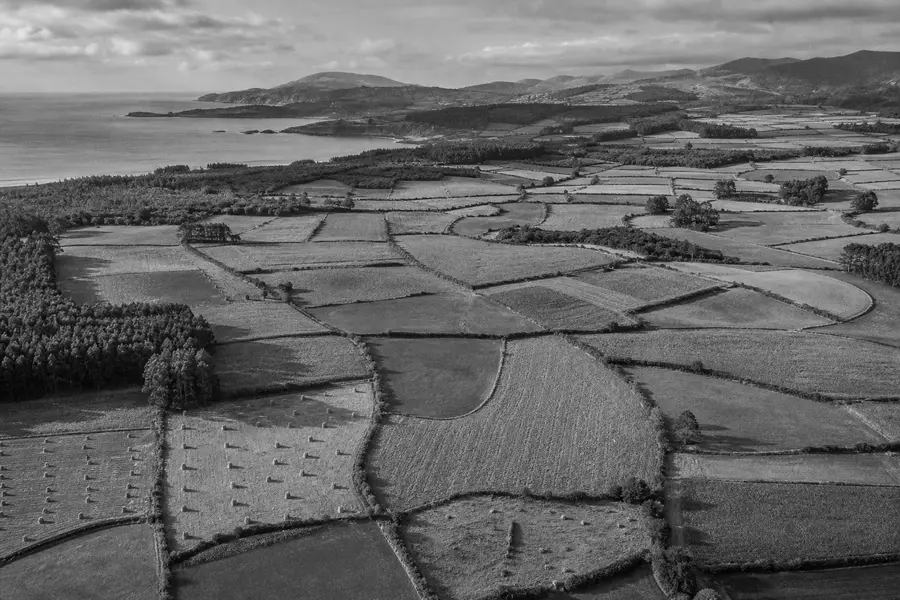 Fotografía aérea en blanco y negro de campos de cultivo antiguos