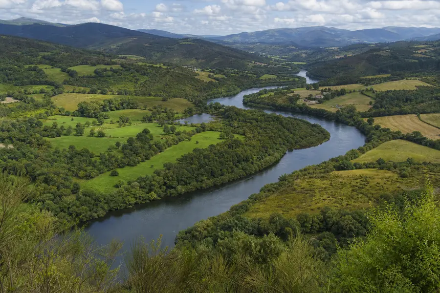 Vista aérea de un valle fluvial con campos y bosque