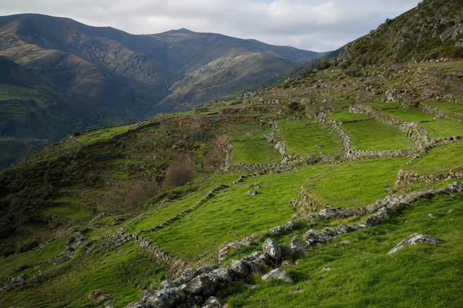 Paisaje de montaña con bancales y muros de piedra
