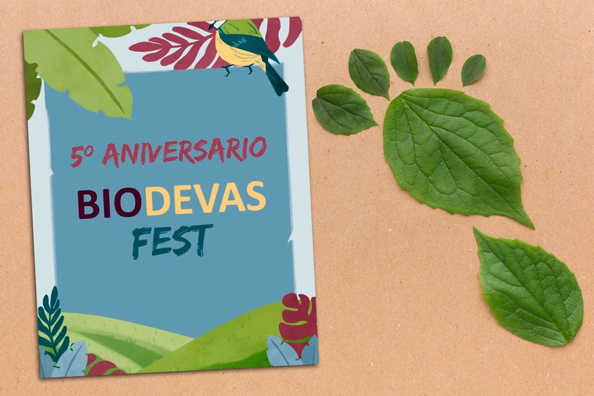 BiodevasFest: cinco años sembrando futuro