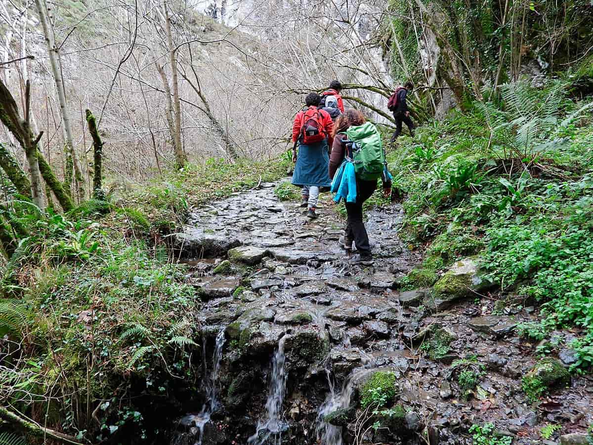 Nuestro calendario de actividades gratuitas ya está en marcha