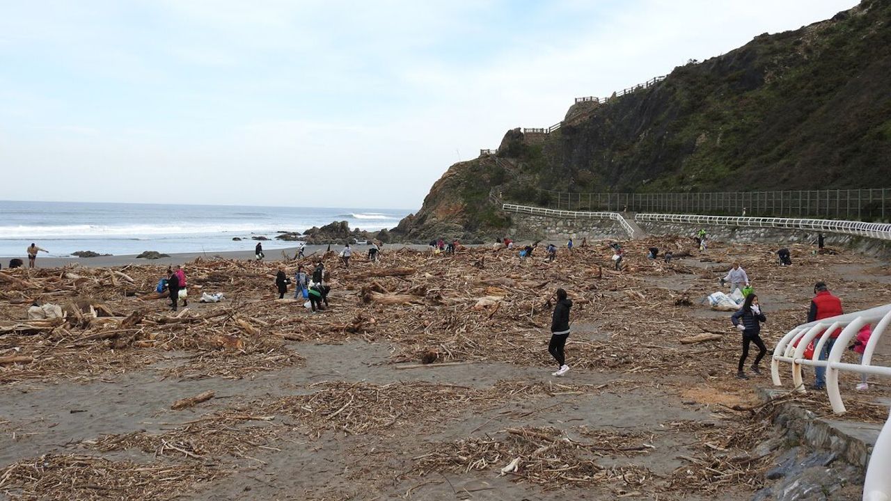 Una marea de manos limpias: crece el voluntariado en las playas asturianas