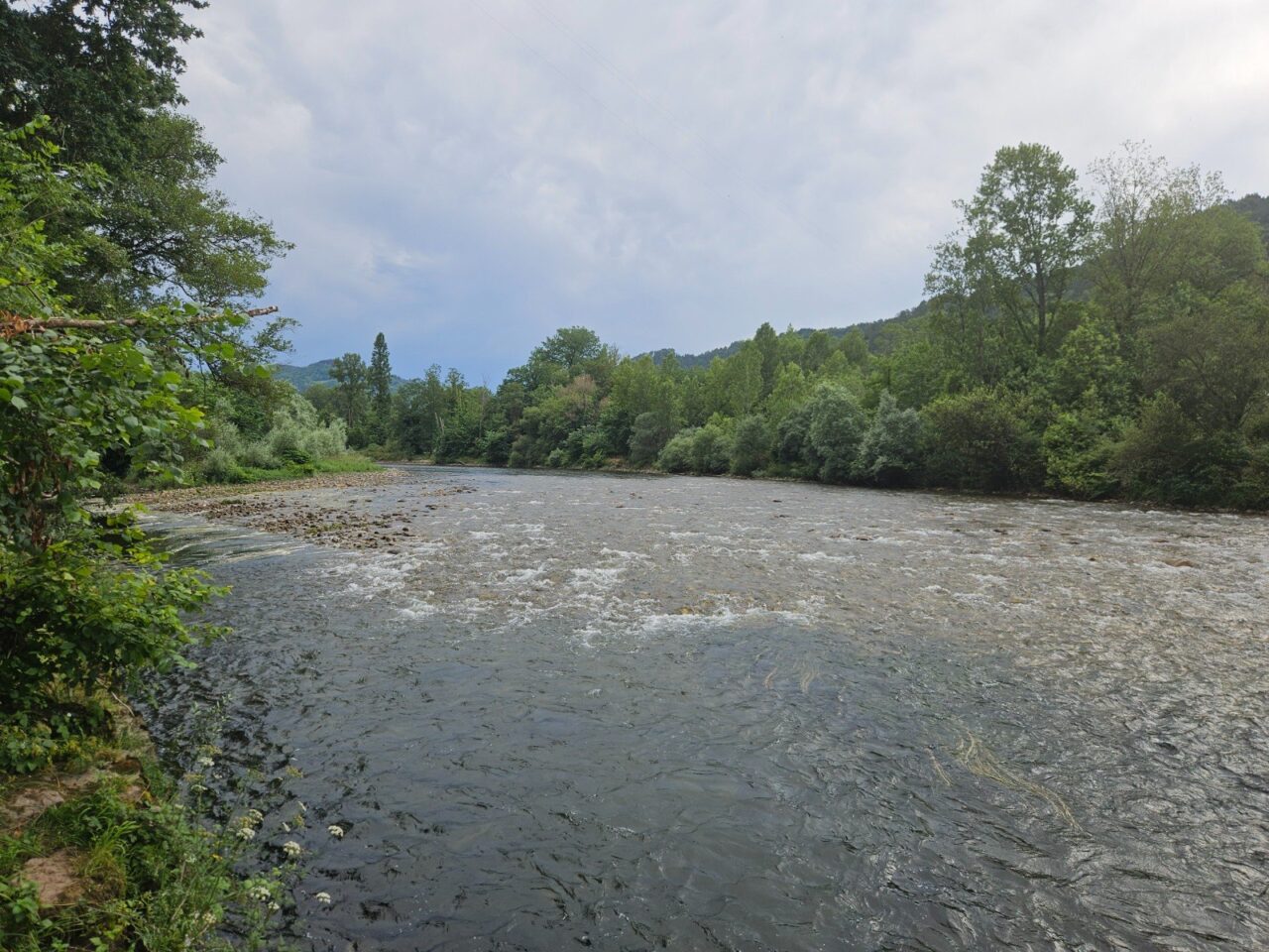 Ribera del ríu Narcea con bosque frondoso