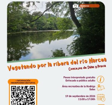 Vegetando por la ribera del ríu Narcea: bosque de ribera entre Salas y Pravia
