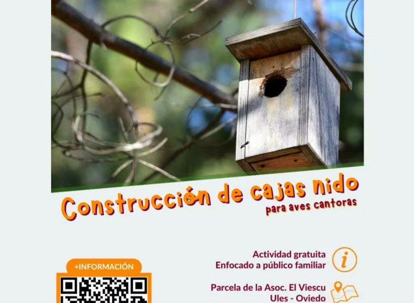 Construimos cajas nido para las aves cantoras